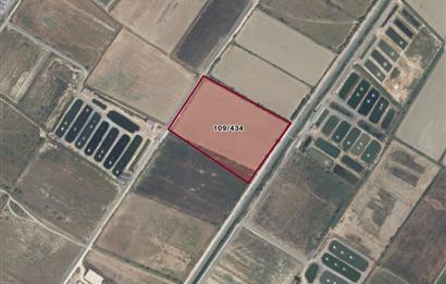Milas Avşar'da Satılık 20.464 m² Arazi