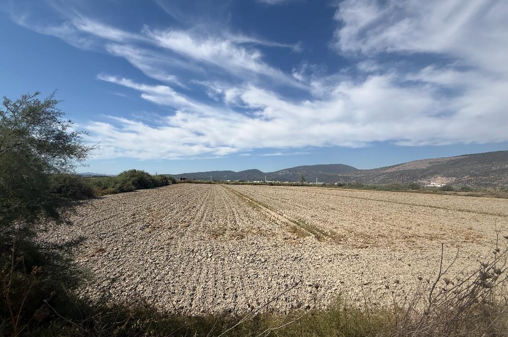 Milas Avşar'da Satılık 20.464 m² Arazi