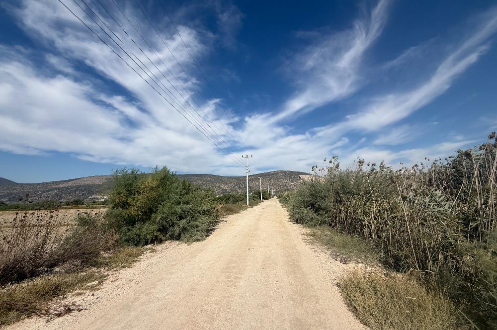 Milas Avşar'da Satılık 20.464 m² Arazi