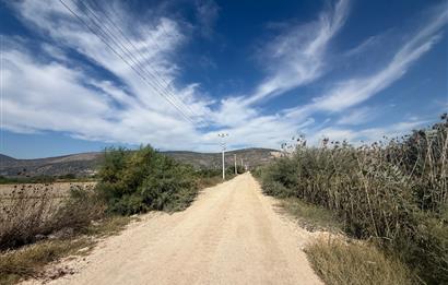 Milas Avşar'da Satılık 20.464 m² Arazi