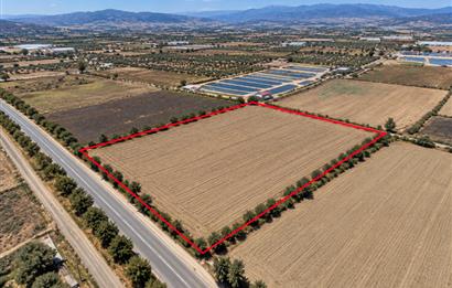 Milas Avşar'da Satılık 20.464 m² Arazi