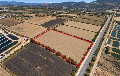 Milas Avşar'da Satılık 20.464 m² Arazi