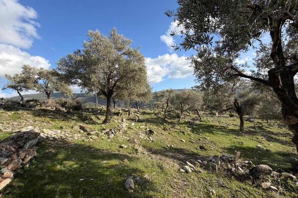 Muğla Milas Kayabükü'nde 822 m² Müstakil Satılık Arazi