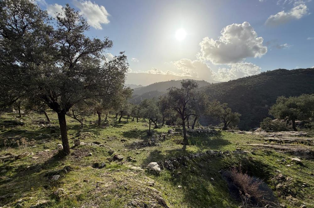 Muğla Milas Kayabükü'nde 822 m² Müstakil Satılık Arazi