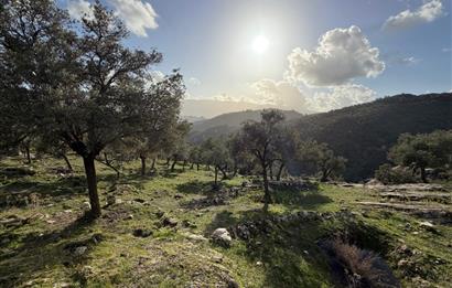 Muğla Milas Kayabükü'nde 822 m² Müstakil Satılık Arazi