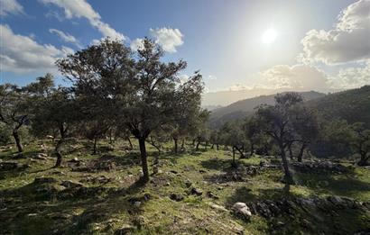 Muğla Milas Kayabükü'nde 822 m² Müstakil Satılık Arazi