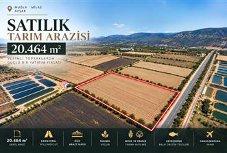 Milas Avşar'da Satılık 20.464 m² Arazi - 6 - 37781