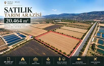 Milas Avşar'da Satılık 20.464 m² Arazi