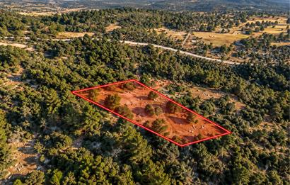 Muğla Menteşe Meke'de 1.467m² Satılık Arazi