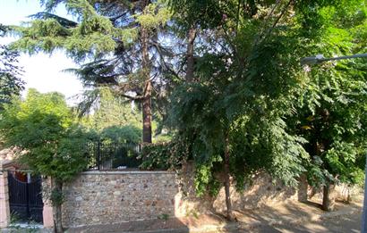 BÜYÜKADA MERKEZDE VAPUR İSKELESİ&ÇARŞIYA 5DK 3+1 KİRALIK