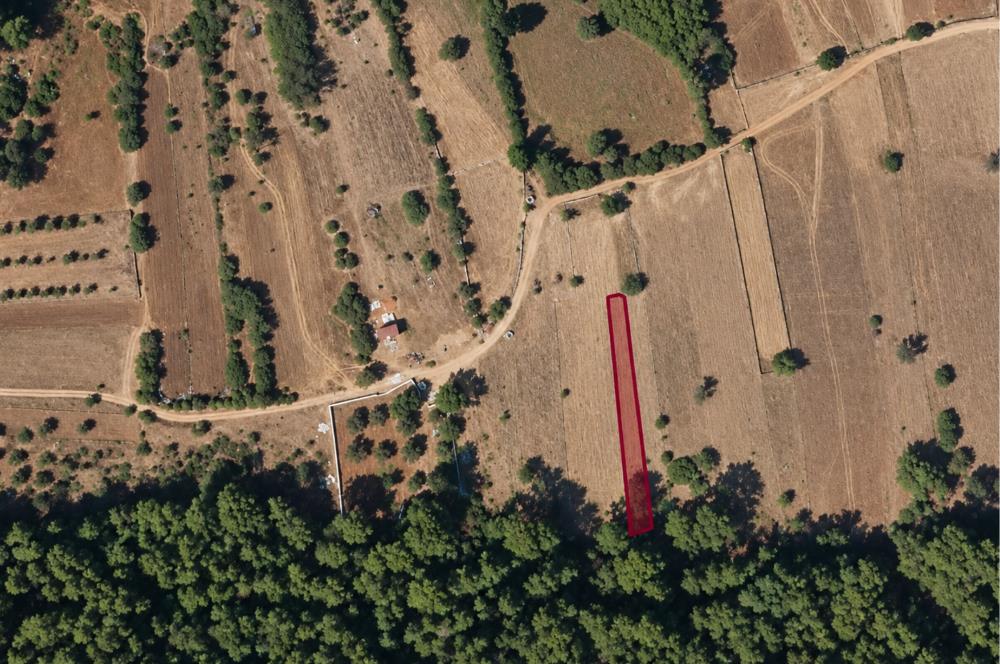 Bodrum Mazı'da 650 m² Satılık Arazi