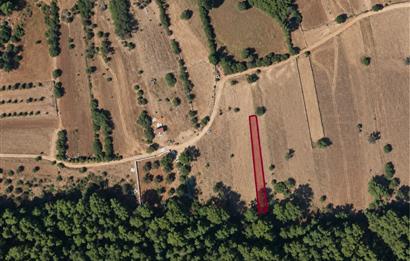 Bodrum Mazı'da 650 m² Satılık Arazi