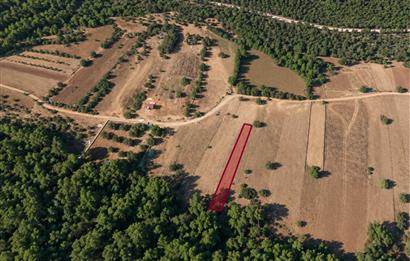 Bodrum Mazı'da 650 m² Satılık Arazi