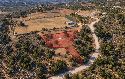 Bodrum Gökpınar'da 860 m²  Satılık Arazi