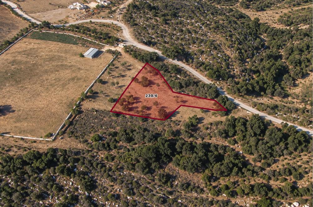 Bodrum Gökpınar'da 860 m²  Satılık Arazi