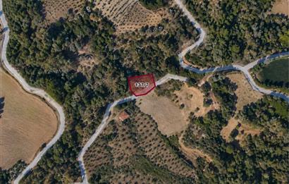 Muğla Menteşe Fadıl'da Yola Cepheli 637 m² Müstakil Parsel