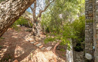 BODRUM GÜRECE’DE DENİZ MANZARALI, SONSUZLUK HAVUZLU ÖZEL TAŞ EV