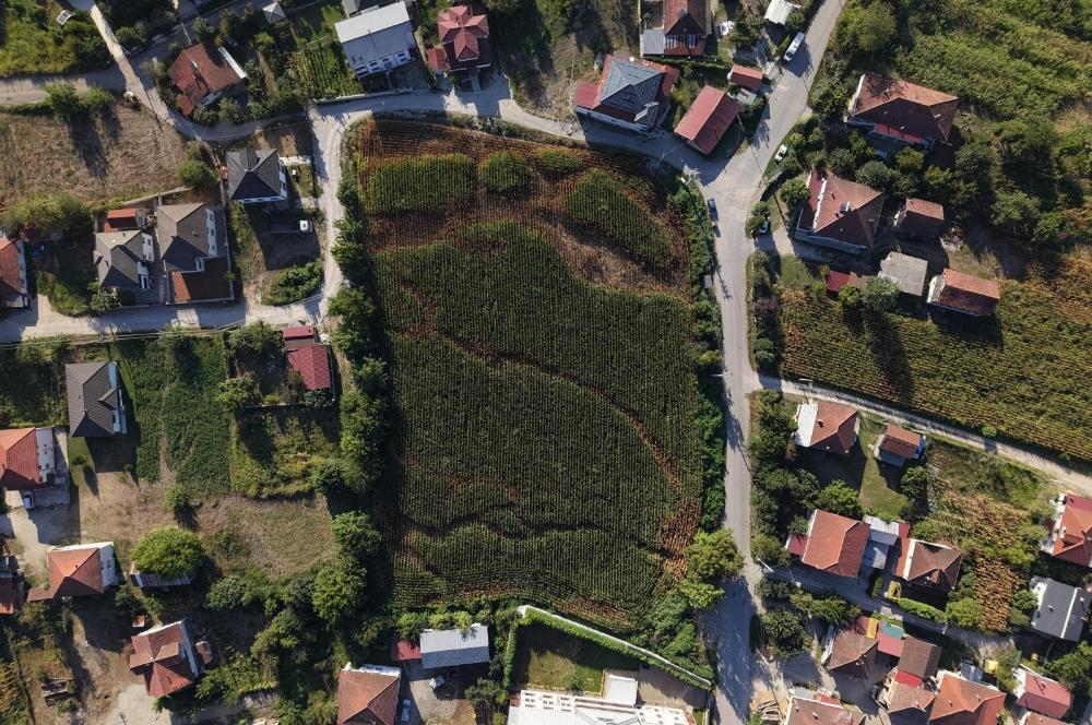AKYAZI İNÖNÜ'DE BÜYÜME AVANTAJLI 1981 M2 ARSA