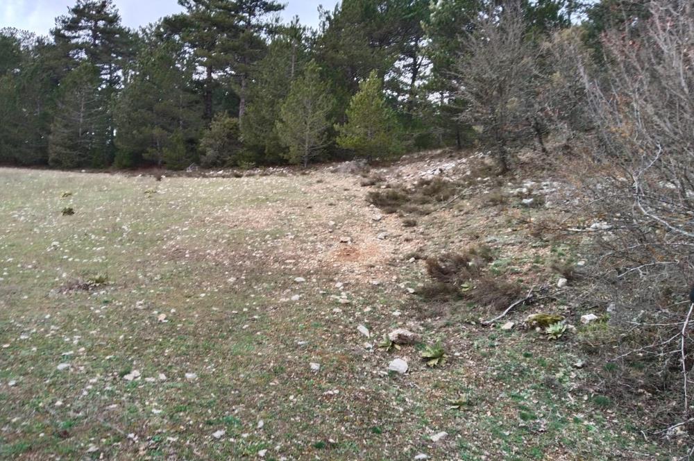 BOLU MUDURNU KARAPINARKAVAĞINDA KÖYE YAKIN SATILIK TARLA