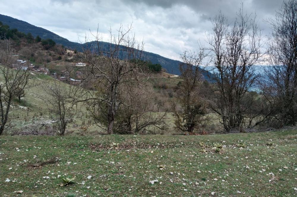 BOLU MUDURNU KARAPINARKAVAĞINDA KÖYE YAKIN SATILIK TARLA