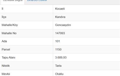 KANDIRA GONCAAYDIN’DA GÖL MANZARALI 3.689 m² TARLA