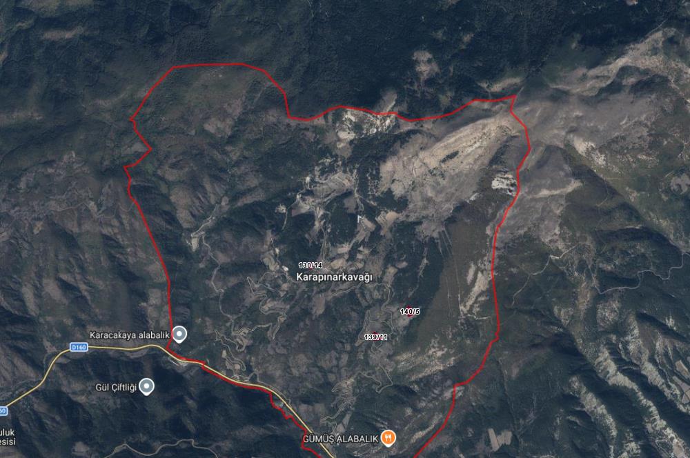 BOLU MUDURNU KARAPINARKAVAĞINDA KÖYE YAKIN SATILIK TARLA