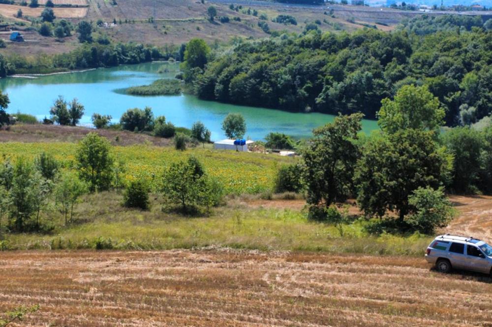 KANDIRA GONCAAYDIN’DA GÖL MANZARALI 3.689 m² TARLA