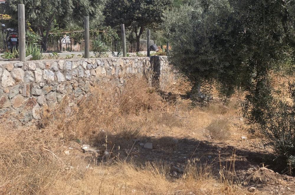 Bodrum-Ortakent Panoramik Deniz Manzaralı Satılık Arsa