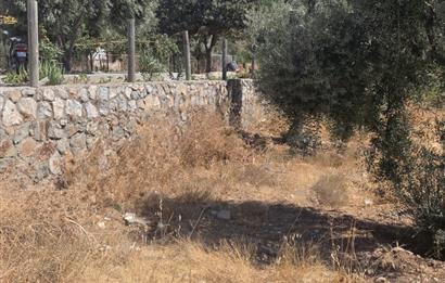 Bodrum-Ortakent Panoramik Deniz Manzaralı Satılık Arsa
