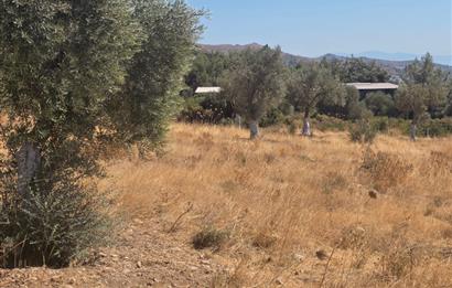 Bodrum-Ortakent Panoramik Deniz Manzaralı Satılık Arsa