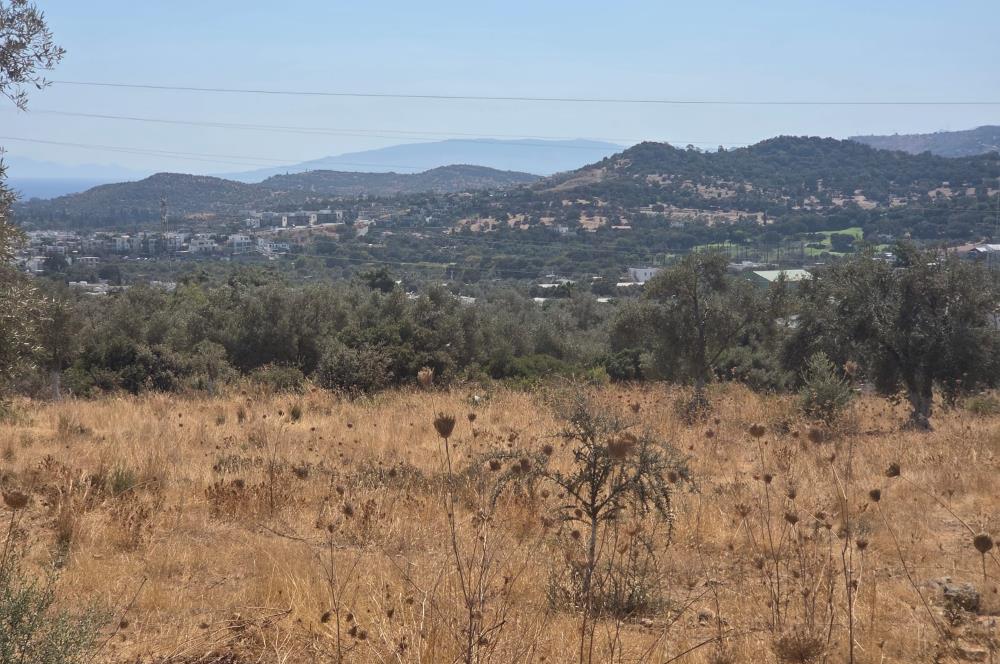 Bodrum-Ortakent Panoramik Deniz Manzaralı Satılık Arsa