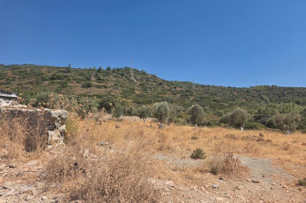 Bodrum-Ortakent Panoramik Deniz Manzaralı Satılık Arsa