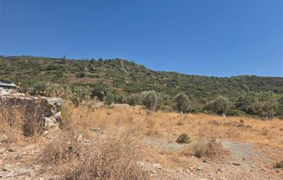 Bodrum-Ortakent Panoramik Deniz Manzaralı Satılık Arsa