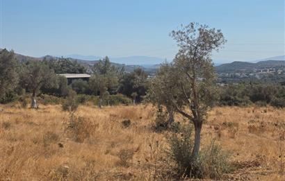 Bodrum-Ortakent Panoramik Deniz Manzaralı Satılık Arsa