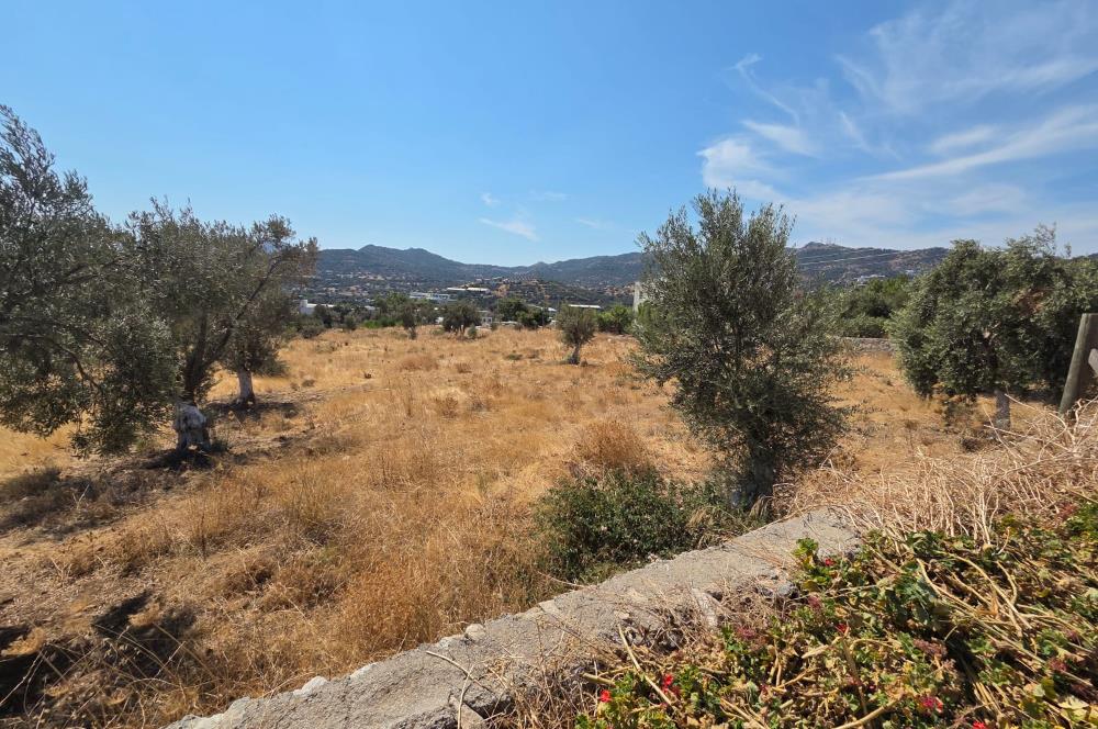 Bodrum-Ortakent Panoramik Deniz Manzaralı Satılık Arsa