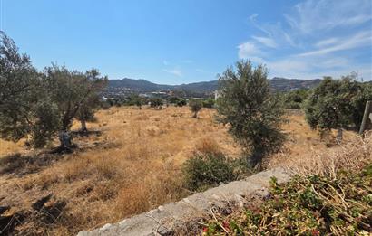 Bodrum-Ortakent Panoramik Deniz Manzaralı Satılık Arsa
