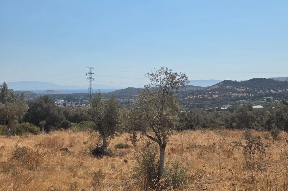 Bodrum-Ortakent Panoramik Deniz Manzaralı Satılık Arsa