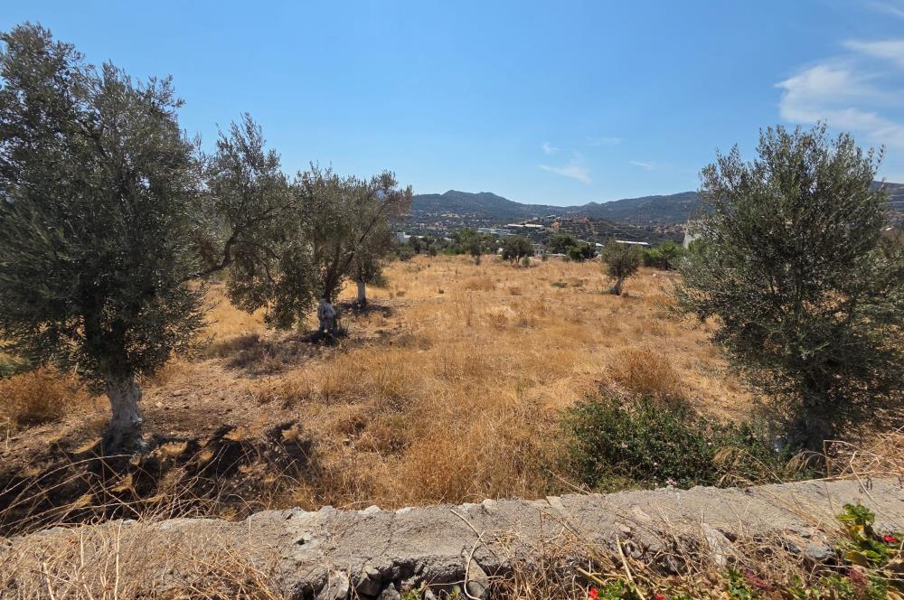 Bodrum-Ortakent Panoramik Deniz Manzaralı Satılık Arsa