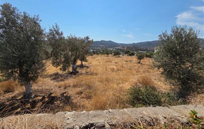Bodrum-Ortakent Panoramik Deniz Manzaralı Satılık Arsa