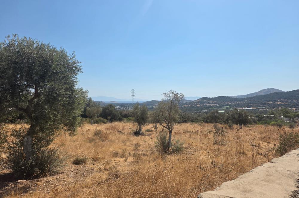 Bodrum-Ortakent Panoramik Deniz Manzaralı Satılık Arsa