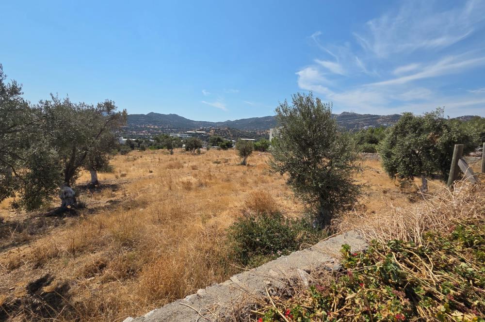 Bodrum-Ortakent Panoramik Deniz Manzaralı Satılık Arsa