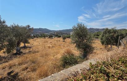Bodrum-Ortakent Panoramik Deniz Manzaralı Satılık Arsa