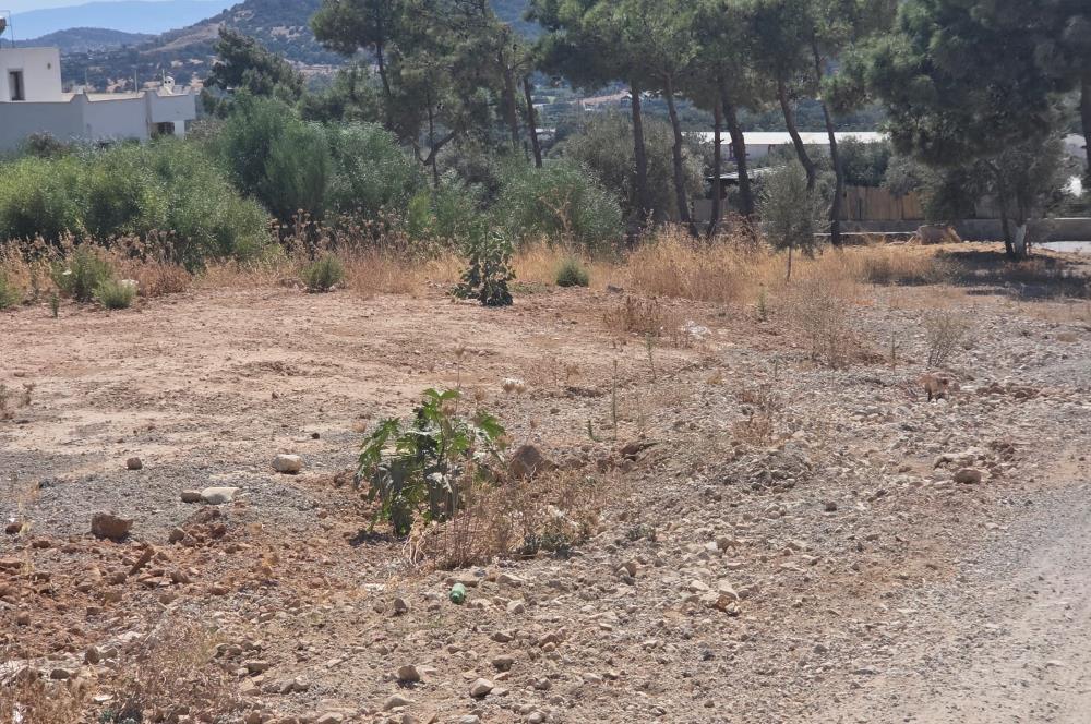 Bodrum-Ortakent Panoramik Deniz Manzaralı Satılık Arsa