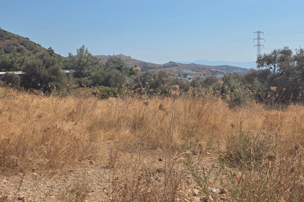 Bodrum-Ortakent Panoramik Deniz Manzaralı Satılık Arsa