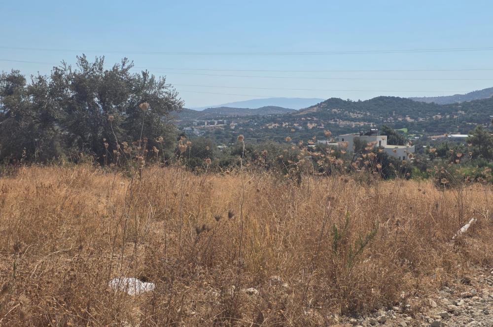 Bodrum-Ortakent Panoramik Deniz Manzaralı Satılık Arsa