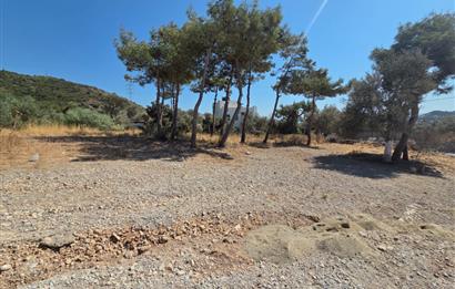 Bodrum-Ortakent Panoramik Deniz Manzaralı Satılık Arsa