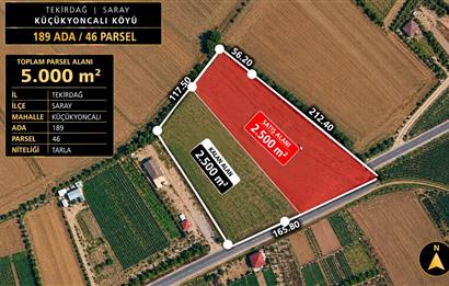 Tekirdağ Saray Küçükyoncaklı'da Yola Cepheli Tarla Hissesi