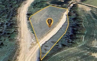 C21 LOCA'DAN KARESİ ŞAMLI'DA ANAYOLA CEPHE 2448 M2 SATILIK TARLA