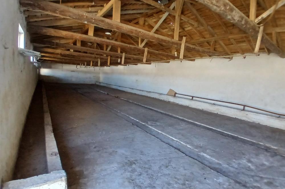 C21 LOCADAN BALIKESİR ALTIEYLÜLDE KİRALIK 2371M2 DEPO İMALATHANE