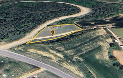 C21 LOCA'DAN KARESİ ŞAMLI'DA ANAYOLA CEPHE 2448 M2 SATILIK TARLA
